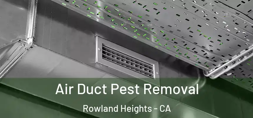  Air Duct Pest Removal Rowland Heights - CA