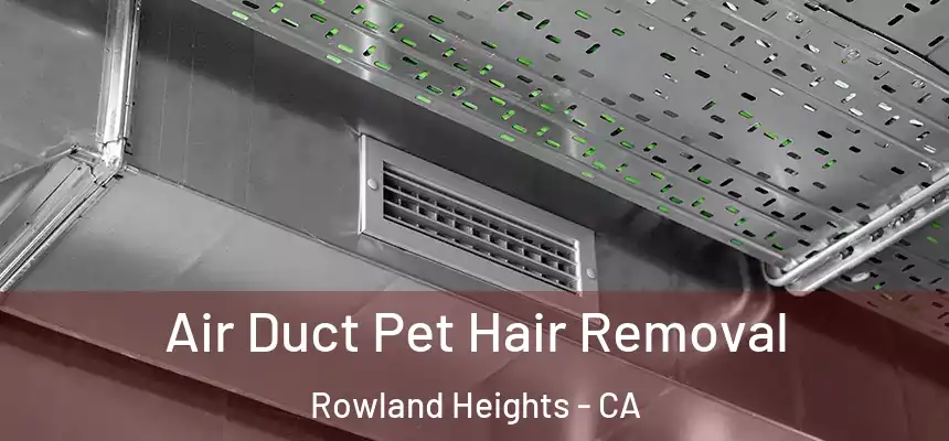  Air Duct Pet Hair Removal Rowland Heights - CA