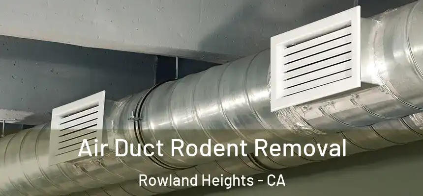 Air Duct Rodent Removal Rowland Heights - CA