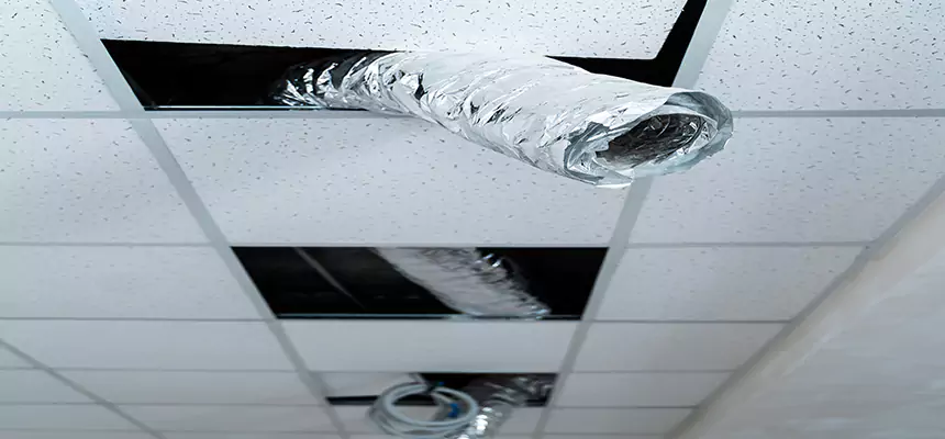 Our Air Duct Pet Hair Removal Services in Rowland Heights, CA