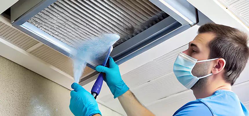 Proactive Dryer Vent & Auxiliary Duct Pollen Cleanup in Rowland Heights, CA