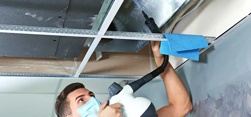 Our Air Duct Rodent Removal Services in Rowland Heights, CA