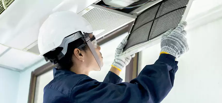 Our Mold & Mildew Removal from Air Ducts Services in Rowland Heights, CA