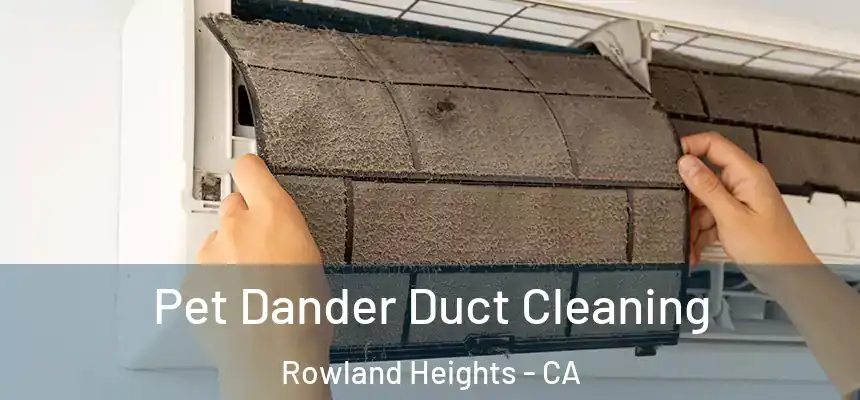 Pet Dander Duct Cleaning Rowland Heights - CA
