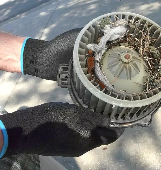 About Air Duct Rat Removal in Rowland Heights, CA