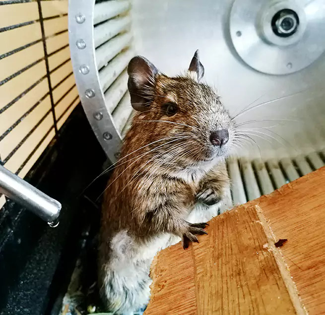 Why Homeowners & Businesses Trust Us Rowland Heights, CA?