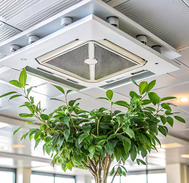 Why Homeowners & Businesses Trust Us in Rowland Heights, CA?